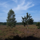 Z72_1840