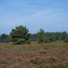 Z72_1858