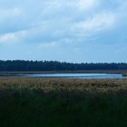 Z07_5784