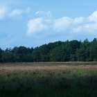 Z07_5786