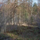 Z72_2242