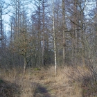 Z72_2245