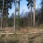 Z72_2247