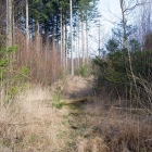 Z72_2258