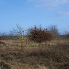 Z72_2271