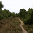 Z72_2152