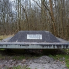 Z72_2215