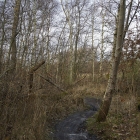 Z72_2217