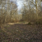 Z72_2231