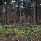 Z72_2088