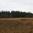 Z72_2097