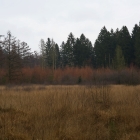 Z72_2107