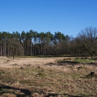 Z72_2519