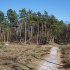 Z72_2525