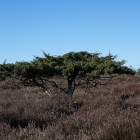Z72_2534