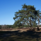 Z72_2541