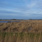 Z72_2346