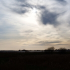 Z72_2361