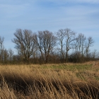 Z72_2385