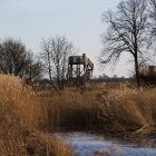 Z72_2391