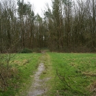 Z72_2471