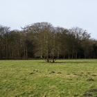 Z72_2401