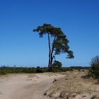 Z72_2621