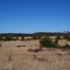 Z72_2623