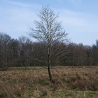 Z72_2569