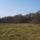 Z72_2570