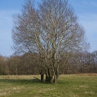 Z72_2572