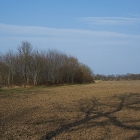 Z72_2601