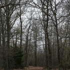 Z72_2690