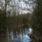 Z72_2693