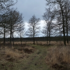 Z72_2698
