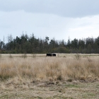 Z72_2700