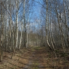 Z72_2726