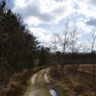 Z72_2743