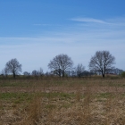 Z72_2782