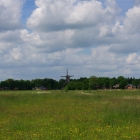 Z07_6515