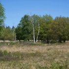 Z72_2862