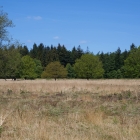 Z72_2864