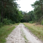 Z72_3852