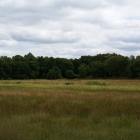 Z72_3877