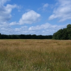 Z72_3884