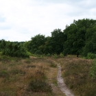 Z72_3906