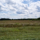 Z72_3725