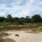 Z72_3759