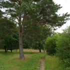 Z72_3767