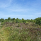 Z72_3790